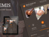 Themis - Rechtsanwalt Business WordPress Template