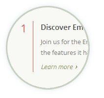 Emerix-Thema - Homepage-Stil