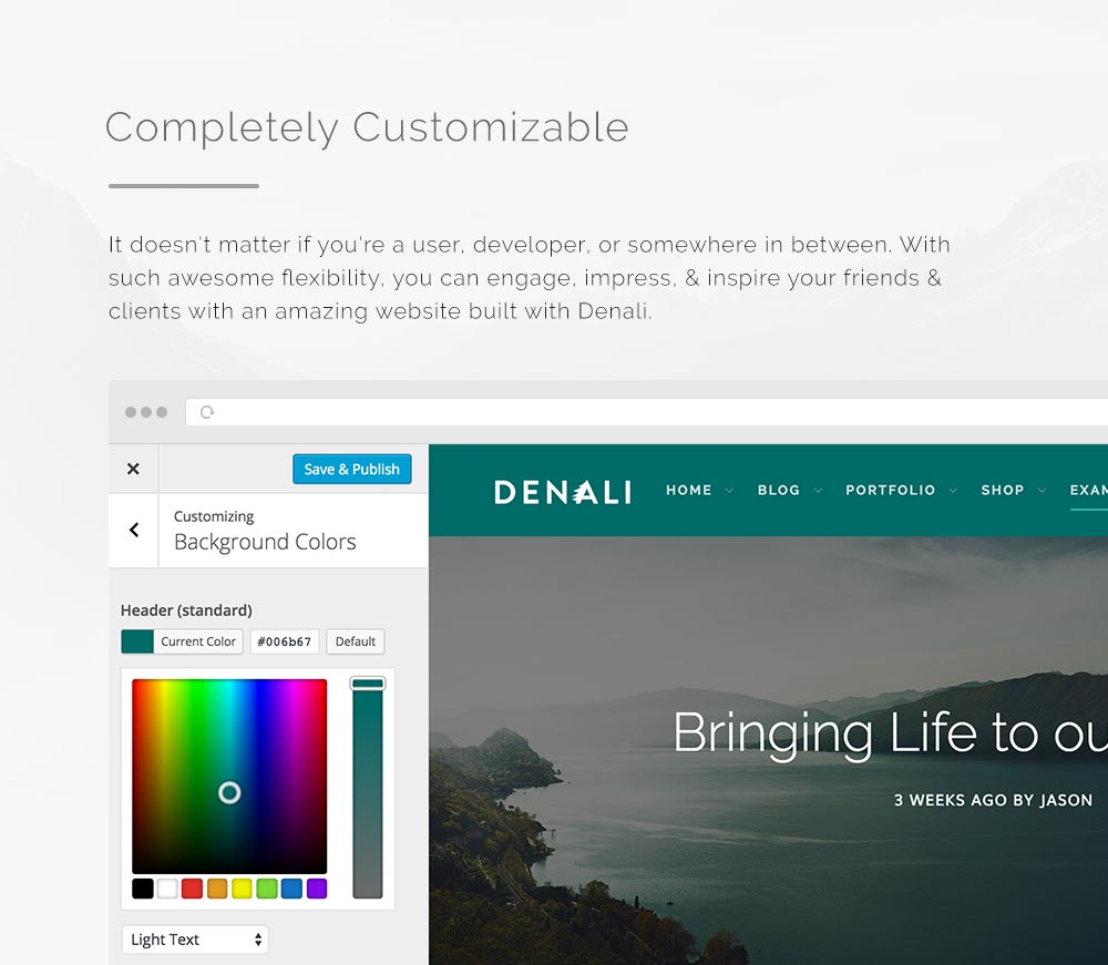 Denali - Responsive Multi-Purpose WordPress Theme - 2