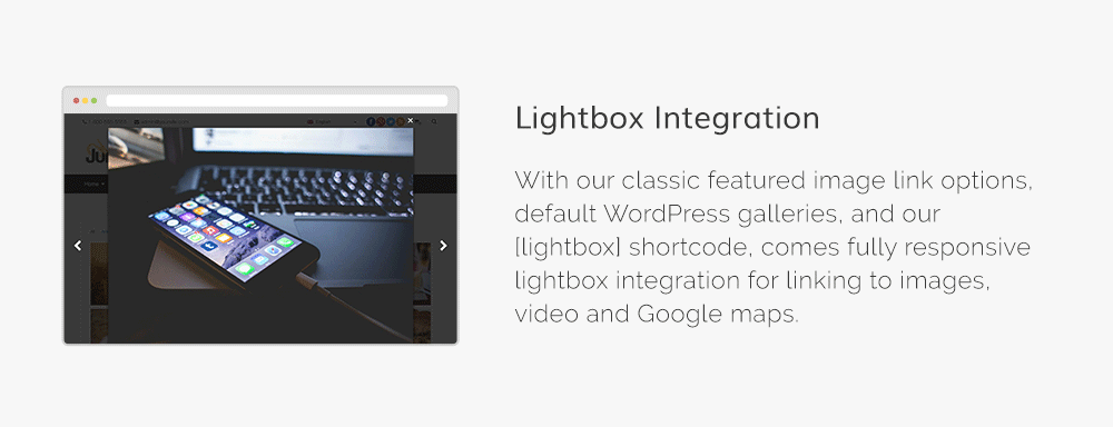 Denali - Responsive Mehrzweck-WordPress-Theme - 23