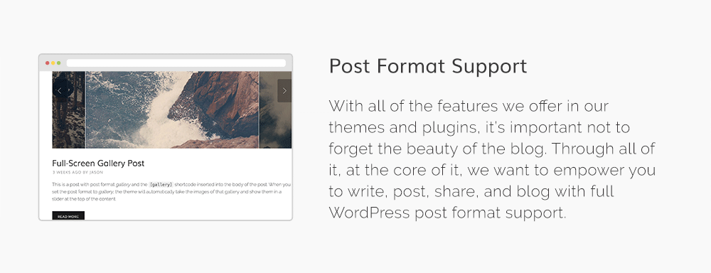 Denali - Responsive Mehrzweck-WordPress-Theme - 24