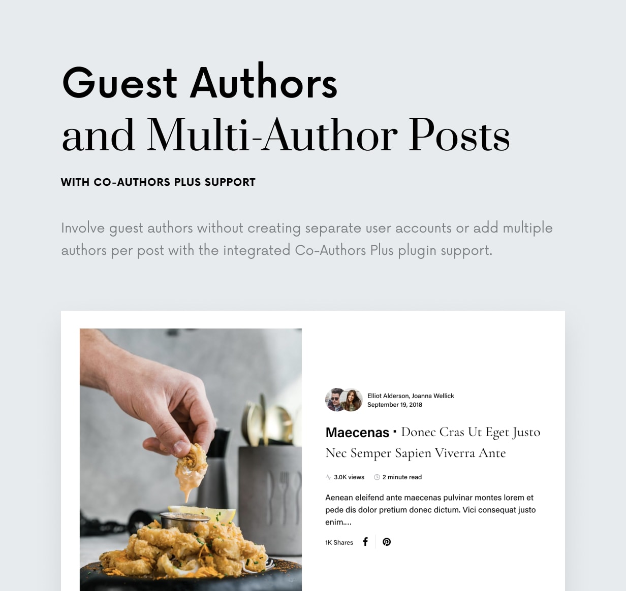 Einmal - Sauberes und elegantes WordPress-Blog-Thema - 26