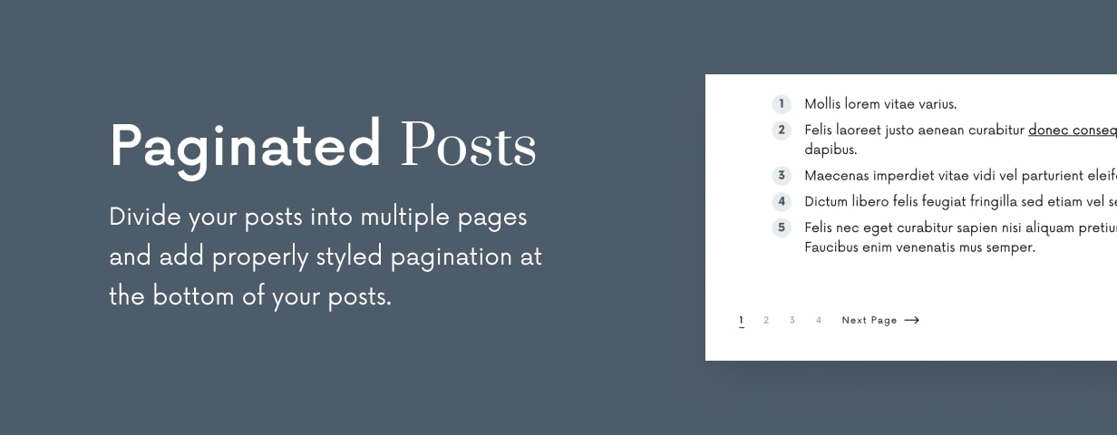 Einmal - Sauberes und elegantes WordPress-Blog-Thema - 23