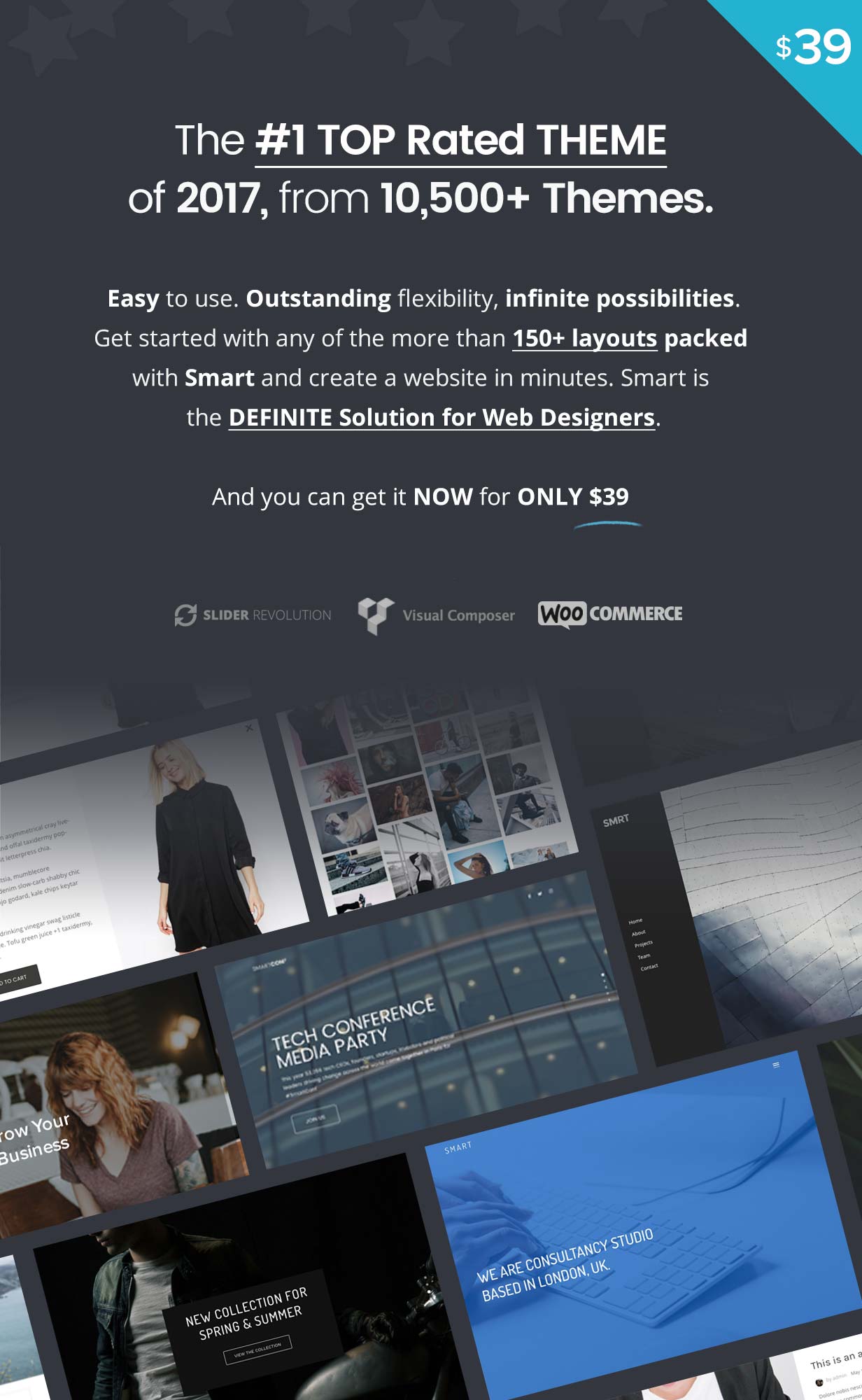 Smart - Responsive Mehrzweck-WordPress-Theme - 1