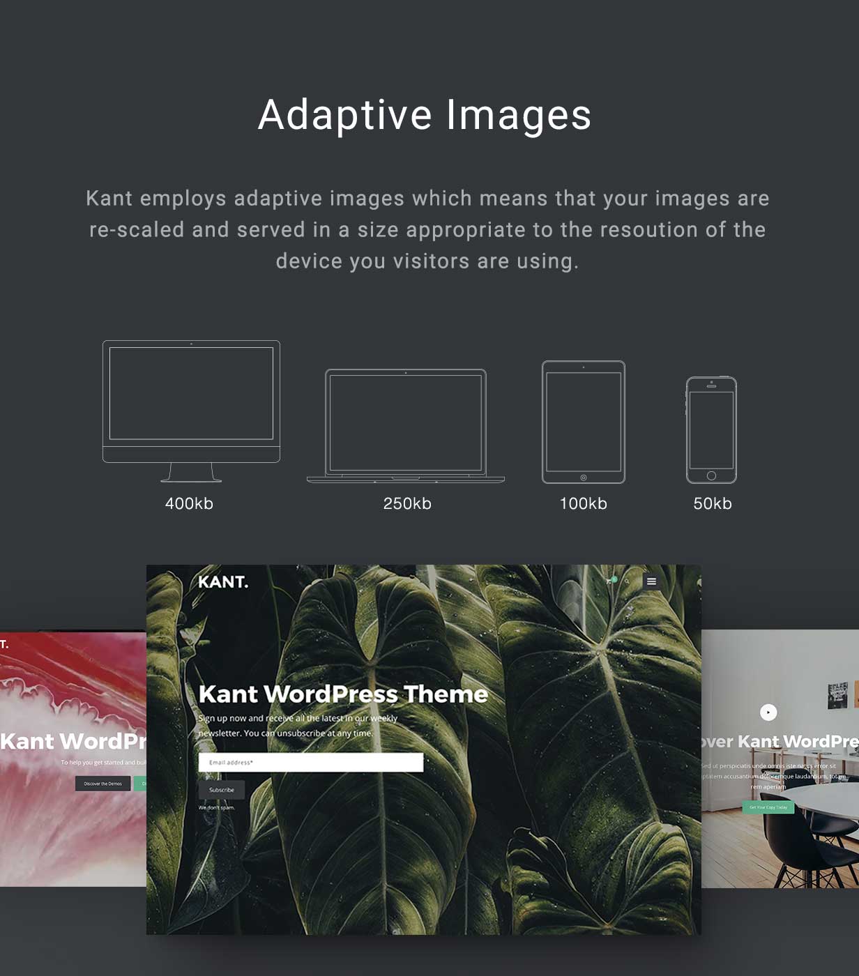 Kant - Ein Mehrzweck-WordPress-Theme für Startups, Kreative und Freiberufler - 3