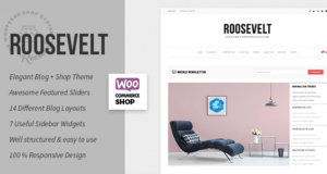 Roosevelt – Responsive WordPress Blog Layout