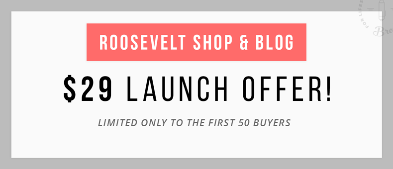 Roosevelt - Responsive WordPress Blog Theme - 4
