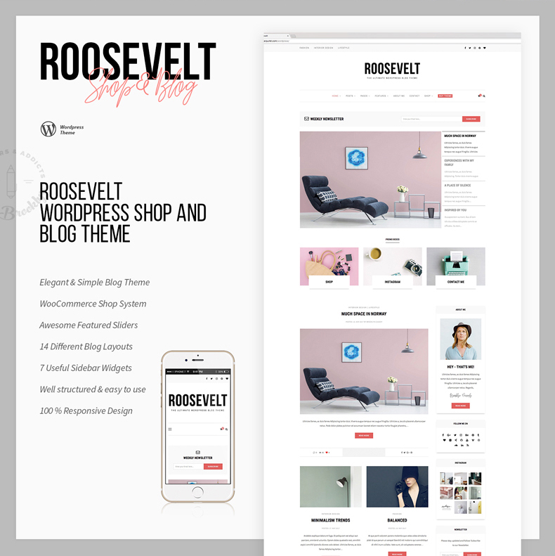Roosevelt - Responsive WordPress Blog Theme - 5