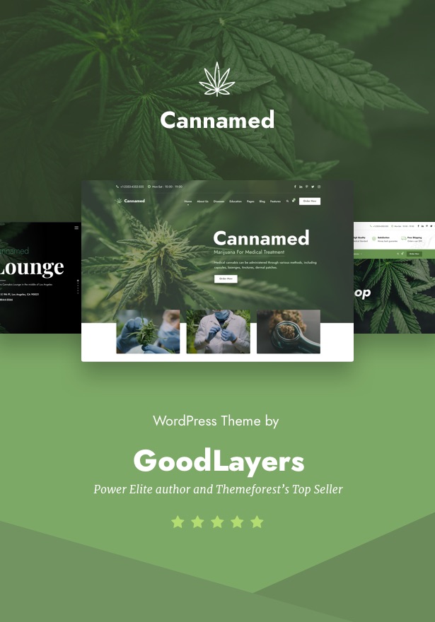 Cannamed - Cannabis & Marihuana WordPress - 1