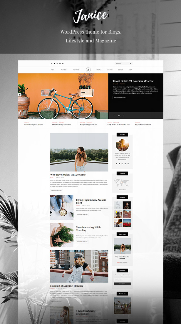 Janice - Ein responsives WordPress-Blog- und Shop-Thema - 2