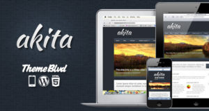 Akita Responsive WordPress Layout