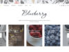 Blueberry - Ein responsives WordPress-Blog-Vorlage