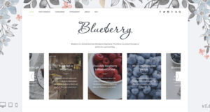 Blueberry – Ein responsives WordPress-Blog-Vorlage