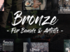 Bronze - Ein professionelles Musik-WordPress-Layout