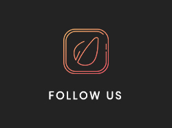 Norto - Kreatives Portfolio WordPress Theme - 3