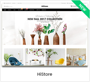 HiStore - Mehrzweck-E-Commerce & MarketPlace WordPress-Theme 