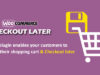 Woocommerce Checkout Später
