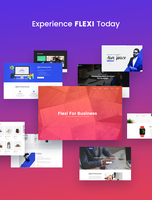 Flexible WordPress Theme | Flexi - 6