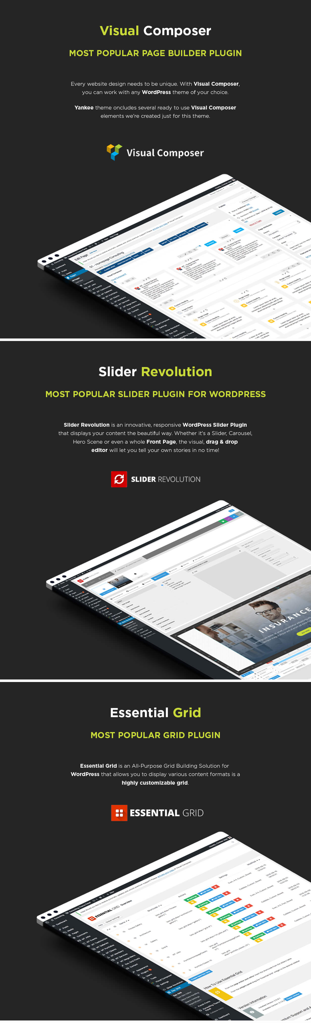 Yankee - Versicherung & Beratung WordPress Theme - 4