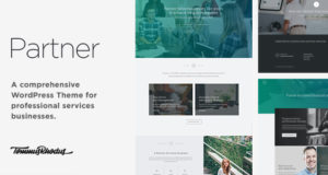 Partner – Buchhaltung und gesetzeskonformes WordPress-Vorlage