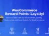 WooCommerce-Prämienpunkte