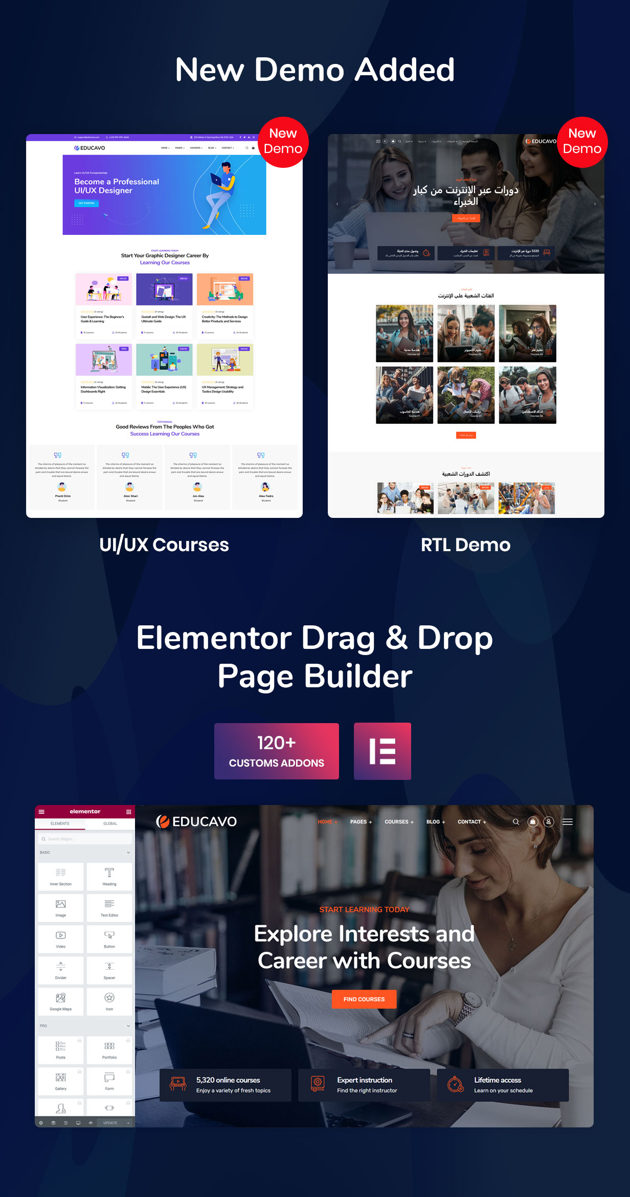 Educavo WordPress Theme