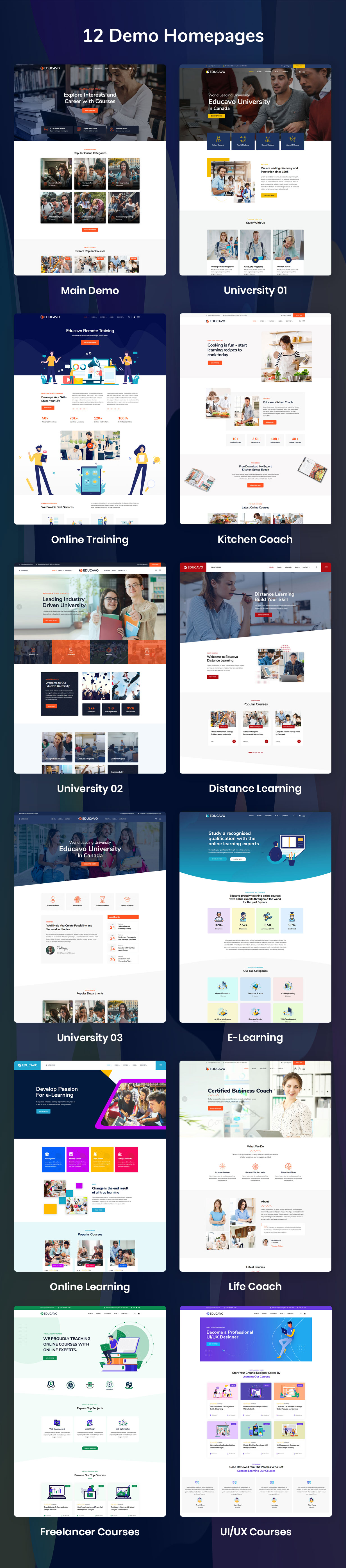 Educavo WordPress Theme