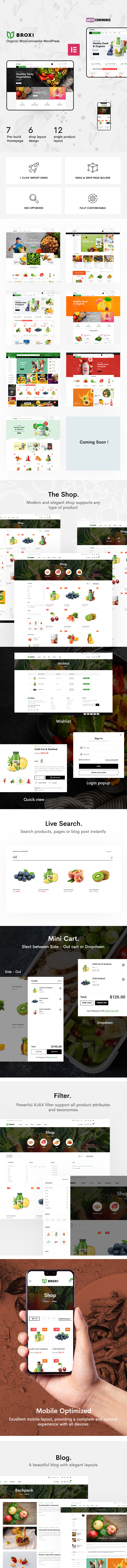 Broxi - Bio & Lebensmittel WooCommerce WordPress Theme - 1