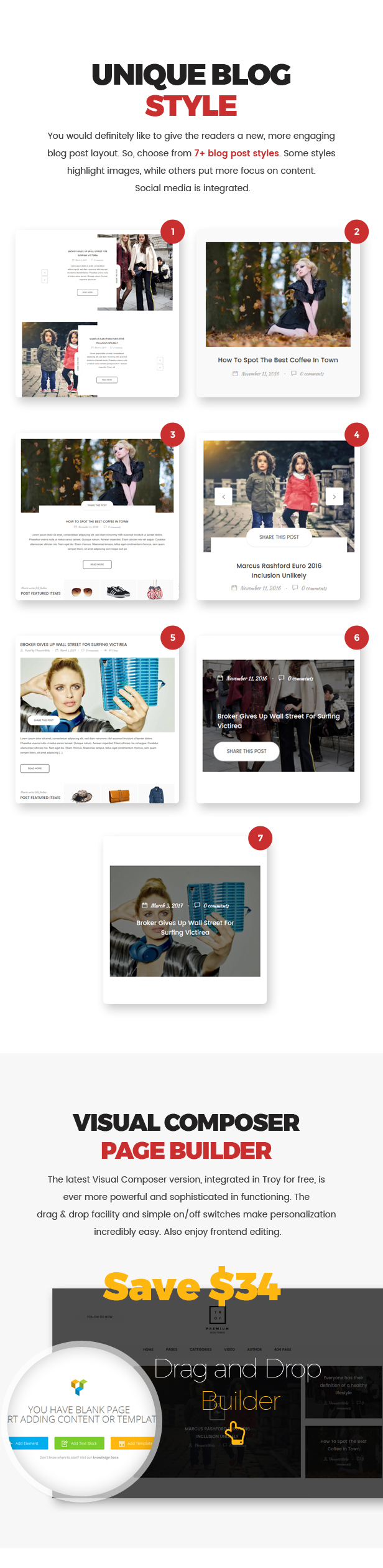 Troy - Vollständiges WordPress-Blogging-Thema - 3