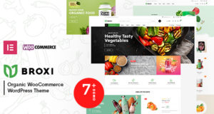 Broxi – Bio & Food WooCommerce WordPress Template