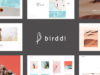 Birddi - Ein kreatives Portfolio WordPress-Vorlage