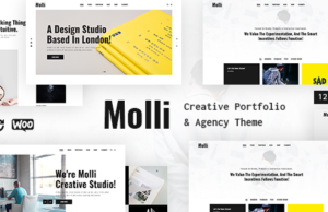 Molli – Kreatives Portfolio & Agentur-Thema