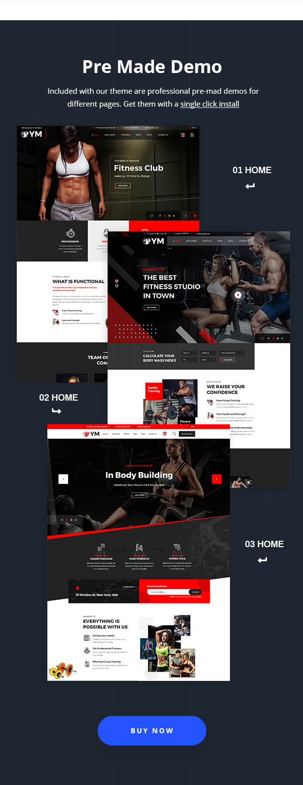 DailyFit - Fitness und Fitness WordPress Theme - 7