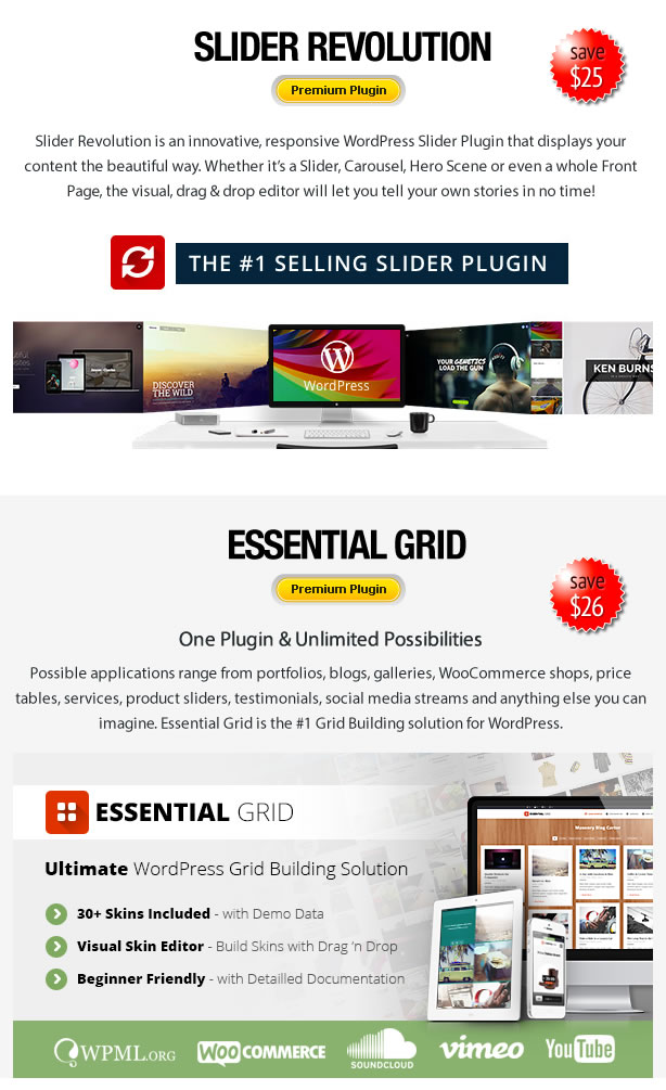 Proflex - Mehrzweck-WordPress-Theme - 8