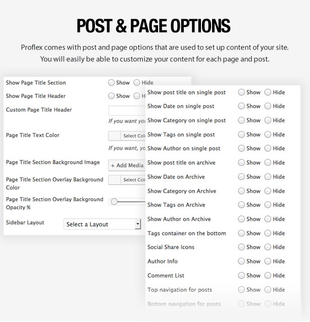 Proflex - Mehrzweck-WordPress-Theme - 11
