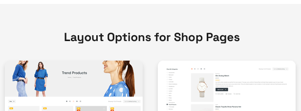 Flexon - Mehrzweck-WordPress-Theme - 4