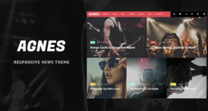 Agnes – Responsive WordPress News Layout