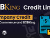 B2BKing Company Credit - WooCommerce-Kreditliniensystem (Add-on)