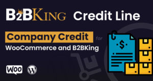 B2BKing Company Credit – WooCommerce-Kreditliniensystem (Add-on)