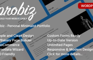 Probiz – Einfach zu bedienendes Portfolio WordPress Template