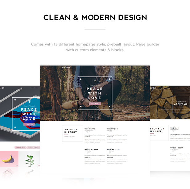 Andier - Responsive One Page & Multi Page Portfolio-Thema - 1