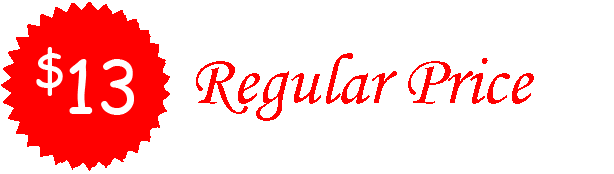 Intro-Preis