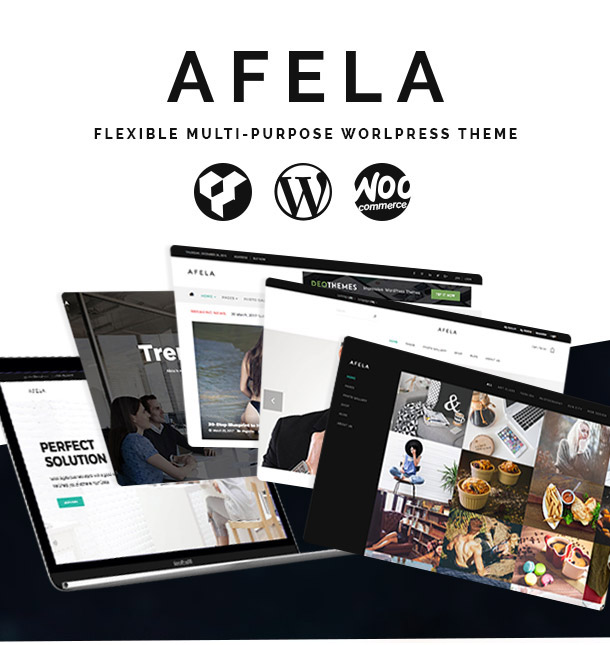 VG Afela - Flexibles Mehrzweck-WordPress-Theme - 10