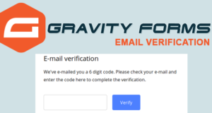 Gravity Forms E-Mail-Verifizierung – OTP-Verifizierung