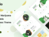 Healfio - Medizinisches Marihuana & Coffeeshop WordPress Layout
