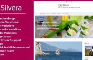 Silvera – Responsives WordPress-Blog-Vorlage