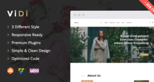 ViDi – Mehrzweck-WordPress-Layout für Unternehmen