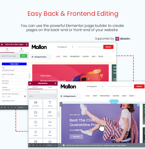 Mallon - Medical Store Elementor WooCommerce WordPress Theme - Backend-Einstellungen
