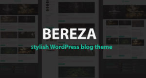 Bereza – Responsive Blog WordPress Layout