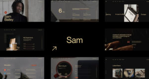 Sam Bailey – Persönlicher Lebenslauf / Lebenslauf WordPress Vorlage